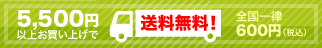 5,500円以上お買い上げで送料無料